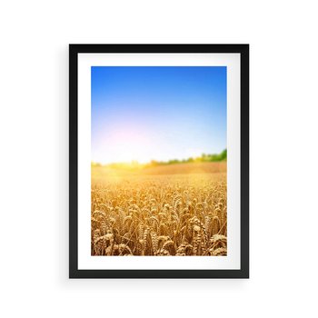 Plakat w ramie 30x40 - Żyzne Pola - pole, pszenicy - rama czarna