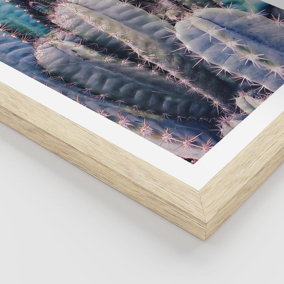 Plakat w ramie 30x40 - Kaktusowy Raj - kaktusy, dużo kaktusów - rama drewno