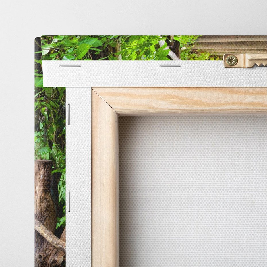 Obraz na płótnie 50x50 - Magia Leśnej Ścieżki - ścieżka, w lesie