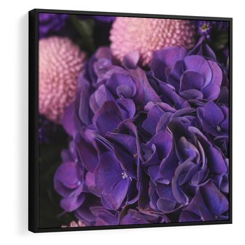 Obraz w ramie 50x50 - Fioletowa hortensja - kwiaty, hortensja - rama czarna