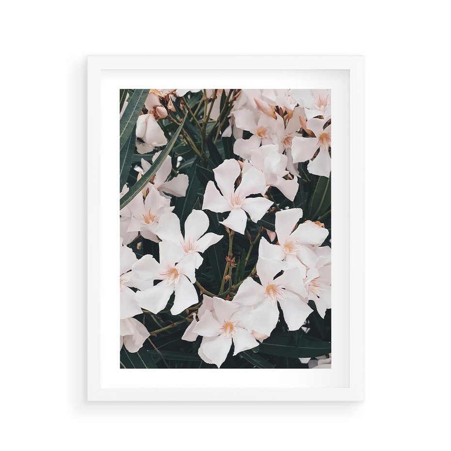 Plakat w ramie 40x50 - Egzotyczna Uroda - białe kwiaty, tropikalne kwiaty - rama biała