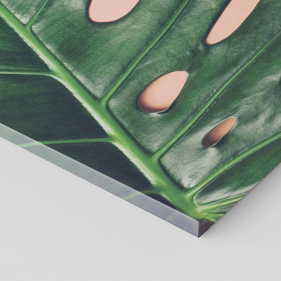 Obraz na płótnie 150x50 - Monstera Liście - monstera, liście