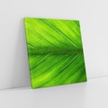 Obraz na płótnie 40x40 - Abstrakcja: interpretacje w liściach - liść, abstrakcja