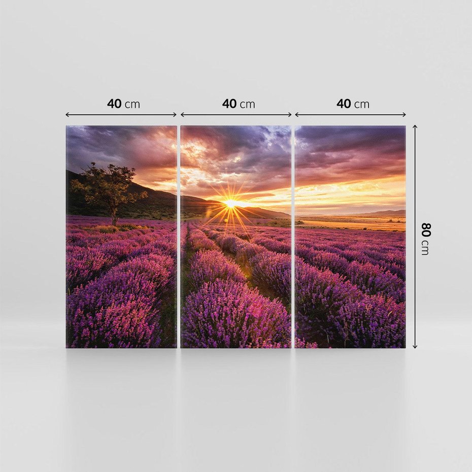 Obraz na płótnie 120x80 - Lawenda: Pachnące pole kwiatów - kwiaty, lawenda