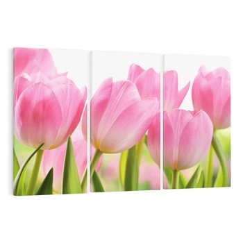 Obraz na płótnie 120x80 - Kwiaty w pełnym rozkwicie - kwiat, Kwiaty