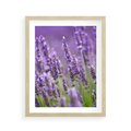 Plakat w ramie 40x50 - Urok lawendy - lawenda, kwiaty - rama drewno