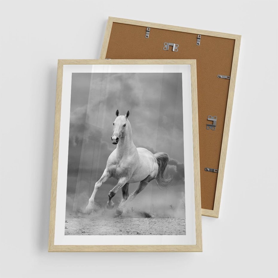 Plakat w ramie 50x70 - Elegancja w Czarno-Białym - koń, biało - rama drewno