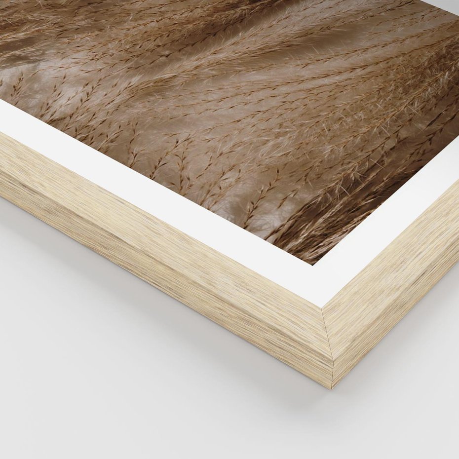 Plakat w ramie 40x50 - Pampasowy Brąz - suche trawy, trawa pampasowa - rama drewno