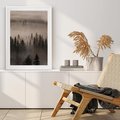 Plakat bez ramy 40x50 - Mglista Opowieść Lasu - las, mgła