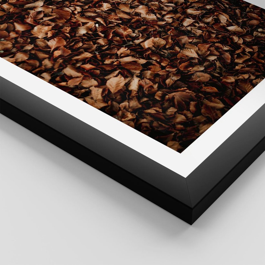 Plakat w ramie 40x50 - Jesienny Dywan - dywan z suchych liści, jesień - rama czarna