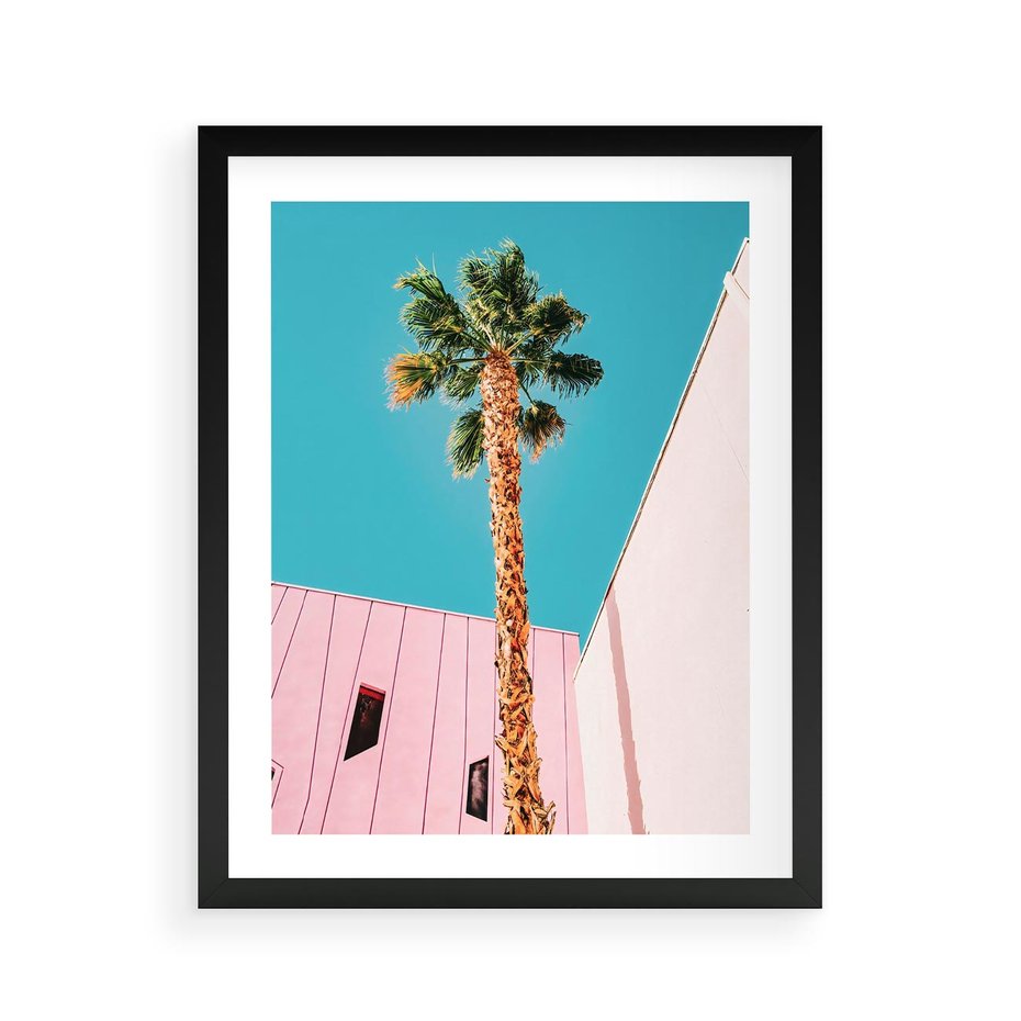 Plakat w ramie 40x50 - Palma w Miami - palma, miami - rama czarna