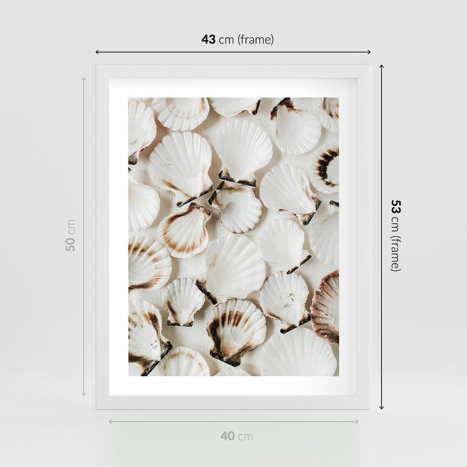 Plakat w ramie 40x50 - Białe Muszle - białe muszle, ujęcie z góry - rama biała
