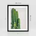 Plakat w ramie 40x50 - Minimalistyczne Kaktusy na Białym Tle - kaktusy, minimalistyczna fotografia - rama czarna