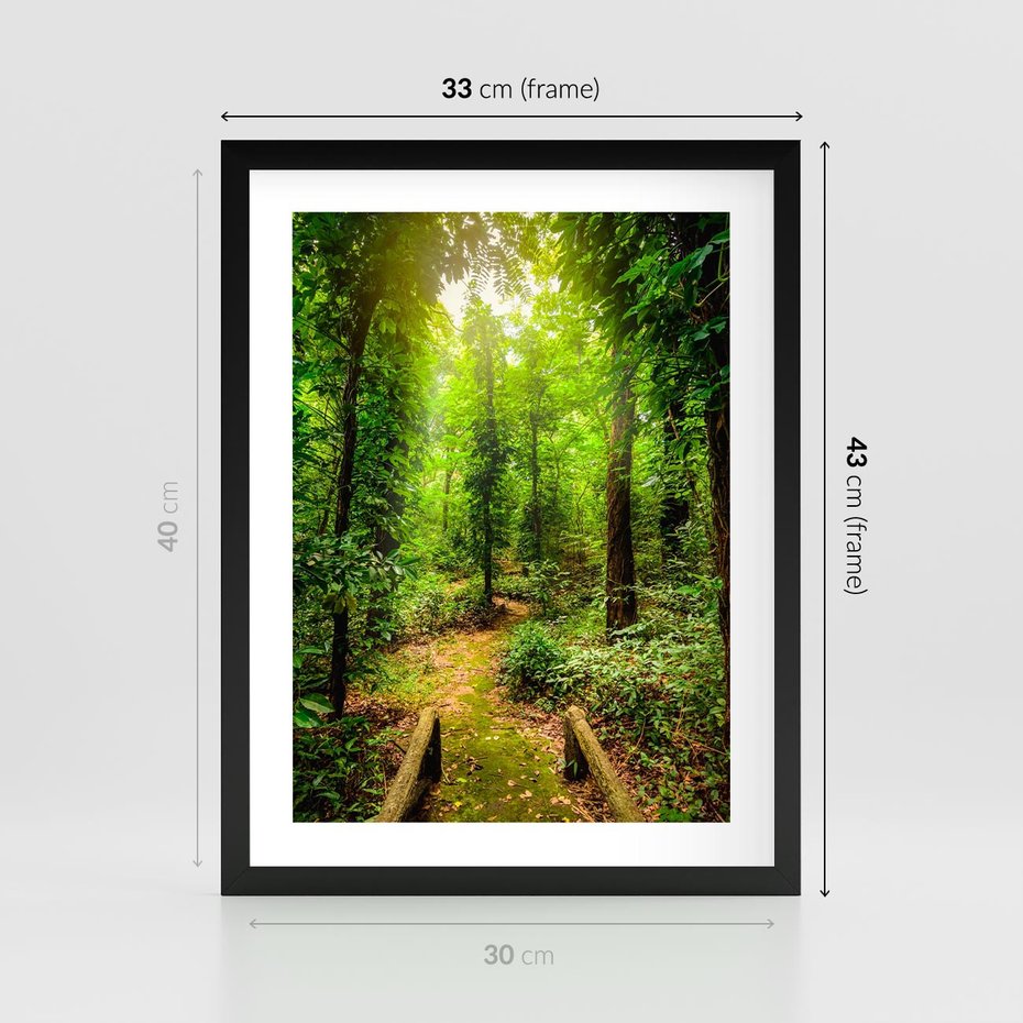 Plakat w ramie 30x40 - Współistnienie z naturą - drzewa, las - rama czarna