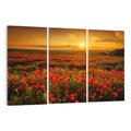 Obraz na płótnie 120x80 - Makowe uczucia - maki, kwiaty