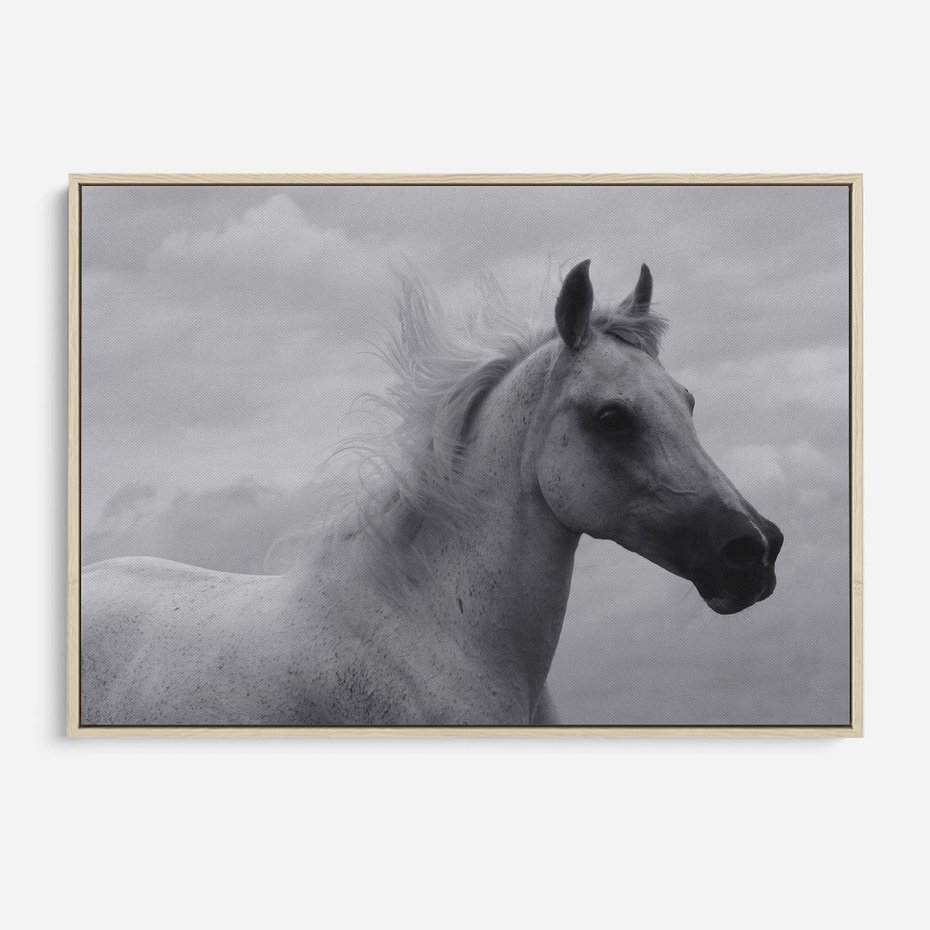 Obraz w ramie 120x80 - Moc i Wolność - czarno biała fotografia, biały - rama drewno