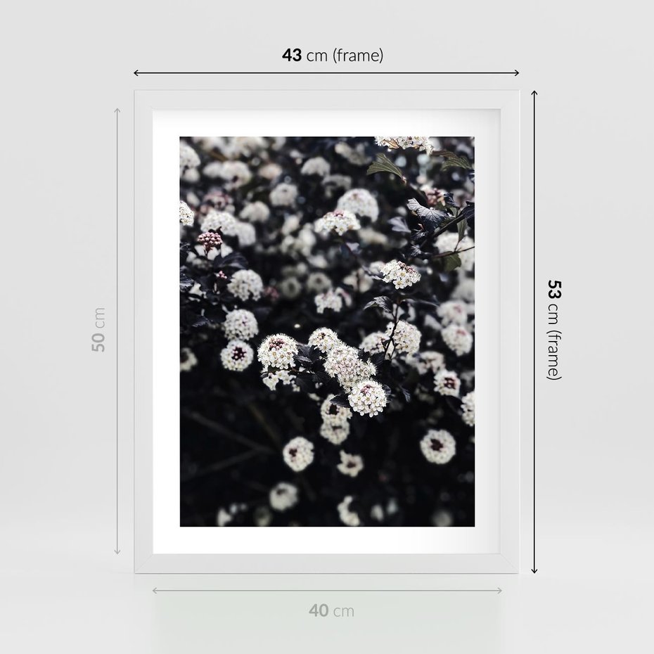Plakat w ramie 40x50 - Białe Kwiaty na Kwitnącym Krzewie - białe kwiaty, kwitnący krzew - rama biała