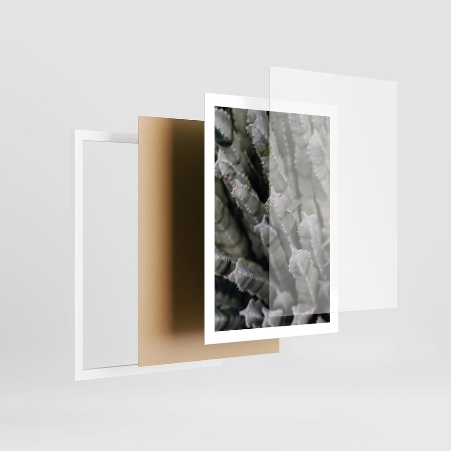 Plakat w ramie 50x70 - Oaza Natury - sukulenty, kaktusy - rama biała