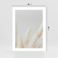 Plakat bez ramy 30x40 - Biały Spokój - białe trawy, suche trawy pampas
