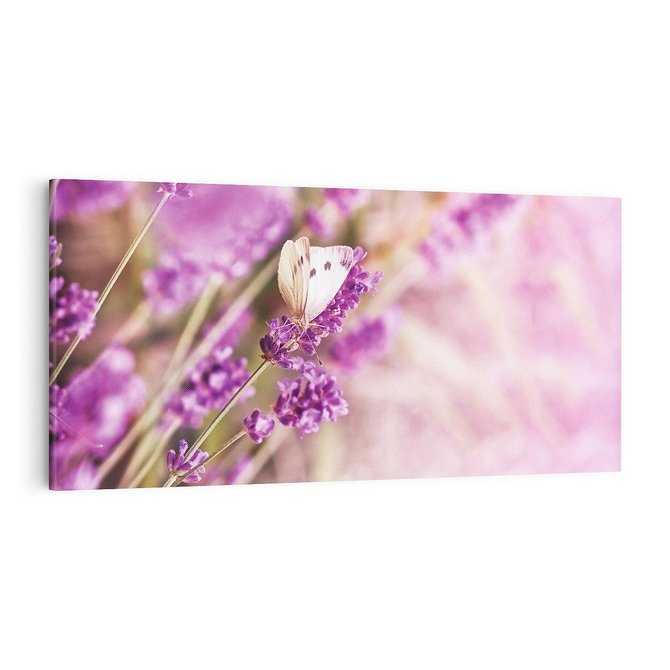 Obraz na płótnie 100x50 - Majestat lawendy: fioletowe pola - lawenda, fiolet