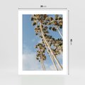 Plakat bez ramy 30x40 - Pod Niebem Palmy - palmy na niebieskim niebie