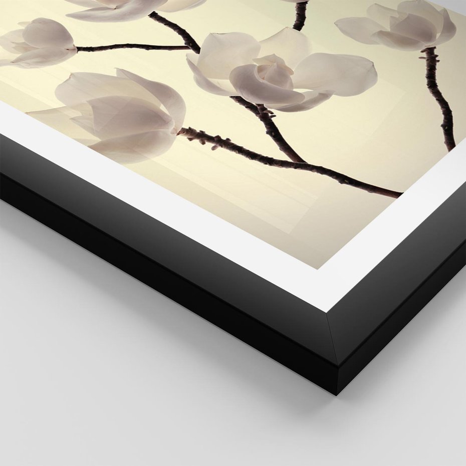 Plakat w ramie 40x50 - Elegancja Natury - magnolia, białe - rama czarna