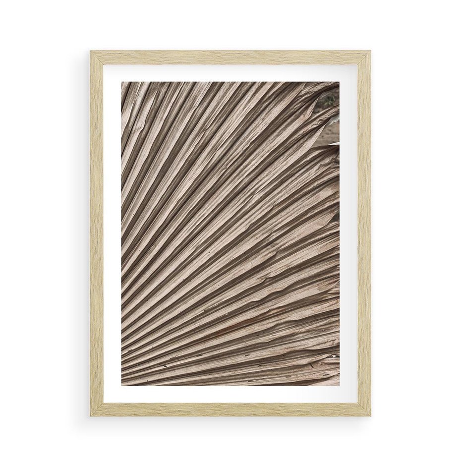 Plakat w ramie 50x70 - Liść Palmy w Wyjątkowej Kompozycji - suchy liść palmy, boho styl - rama drewno