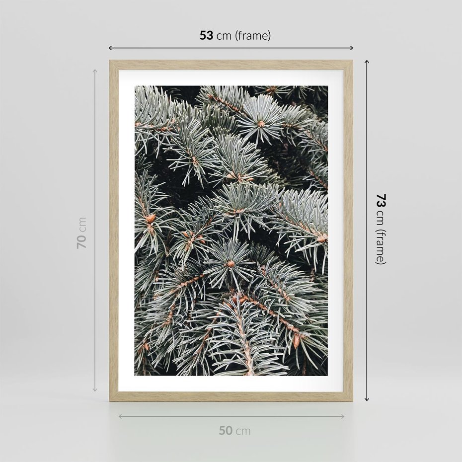 Plakat w ramie 50x70 - Zima na Gałęziach - sosnowe gałęzie, igły - rama drewno