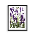 Plakat w ramie 30x40 - Fioletowa harmonia lawendy - lawenda, fiolet - rama czarna