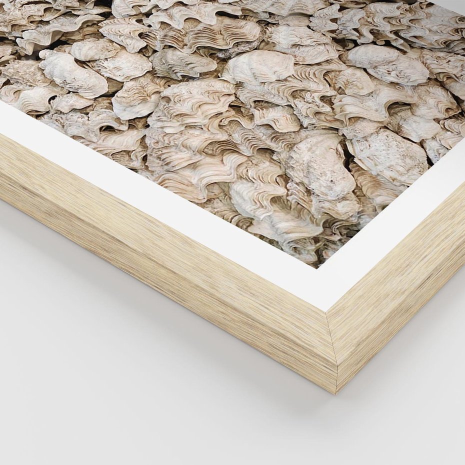 Plakat w ramie 30x40 - Symfonia Natury - kompozycja z białych muszli - rama drewno