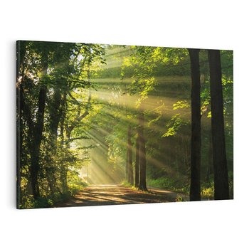 Obraz na płótnie 100x70 - Siła Natury: Las i Drzewa - las, drzewa