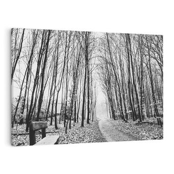 Obraz na płótnie 120x80 - Spadające Liście - czarno białe zdjecie, park