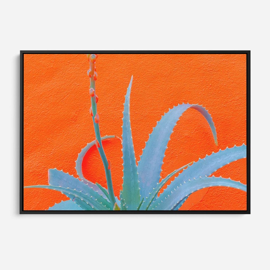 Obraz w ramie 70x50 - Naturalna Harmonia - kaktusy, liście - rama czarna