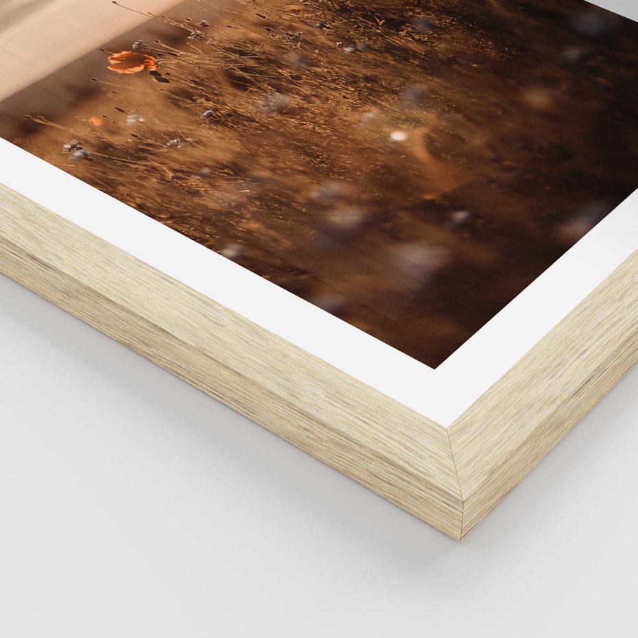 Plakat w ramie 40x50 - Zachwyt zachodem słońca na łące - zachód, słońca - rama drewno