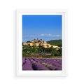 Plakat w ramie 50x70 - Prowansalska Aura - lawenda, Prowansja - rama biała