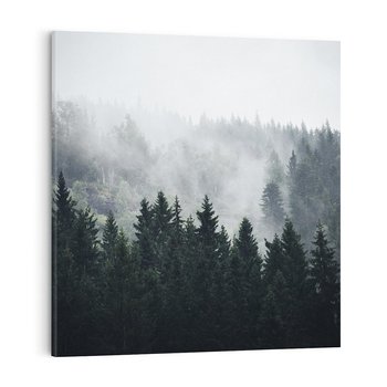 Obraz na płótnie 50x50 - Las w górach: mistyczna mgła - las, góry