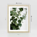 Plakat w ramie 40x50 - Zielone eukaliptusy - eukaliptus, liście - rama drewno