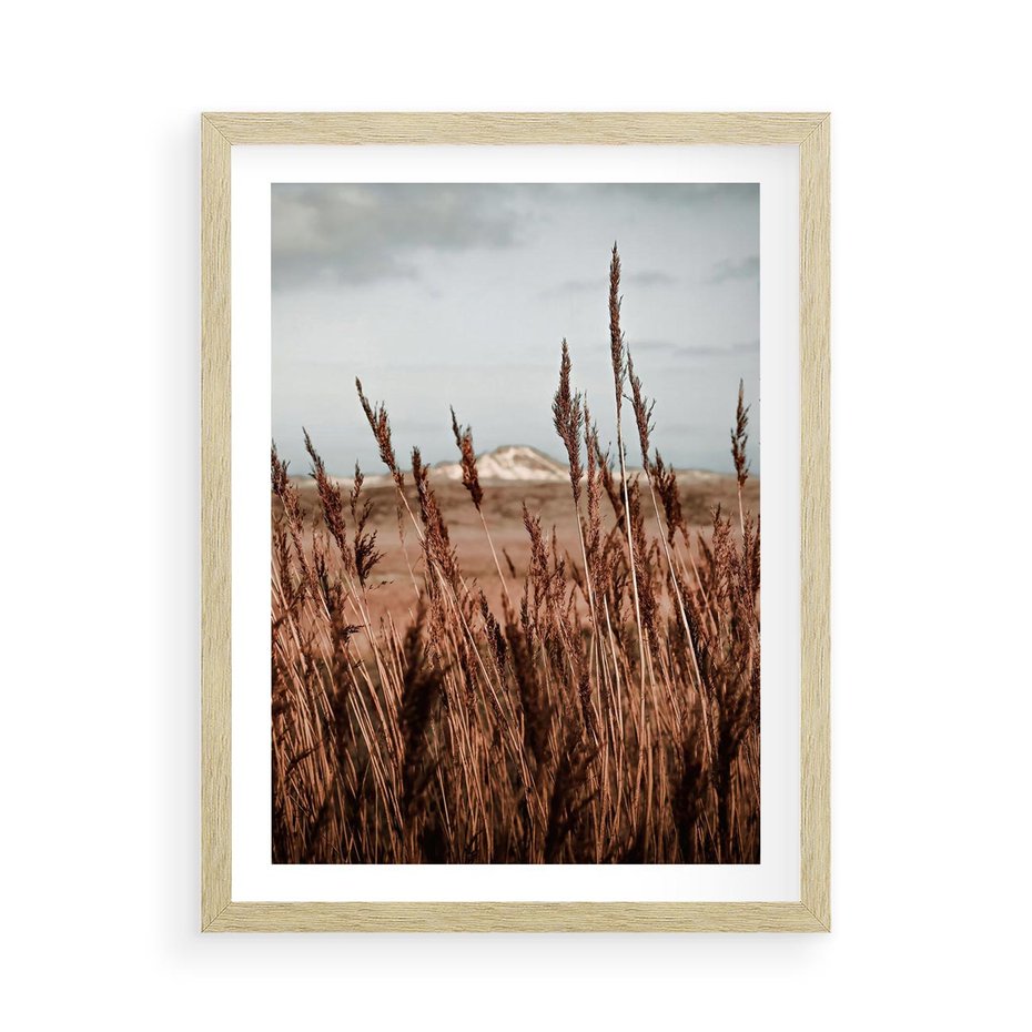Plakat w ramie 50x70 - Wysokie Trawy w Górskim Krajobrazie - suche trawy, wysokie trawy - rama drewno