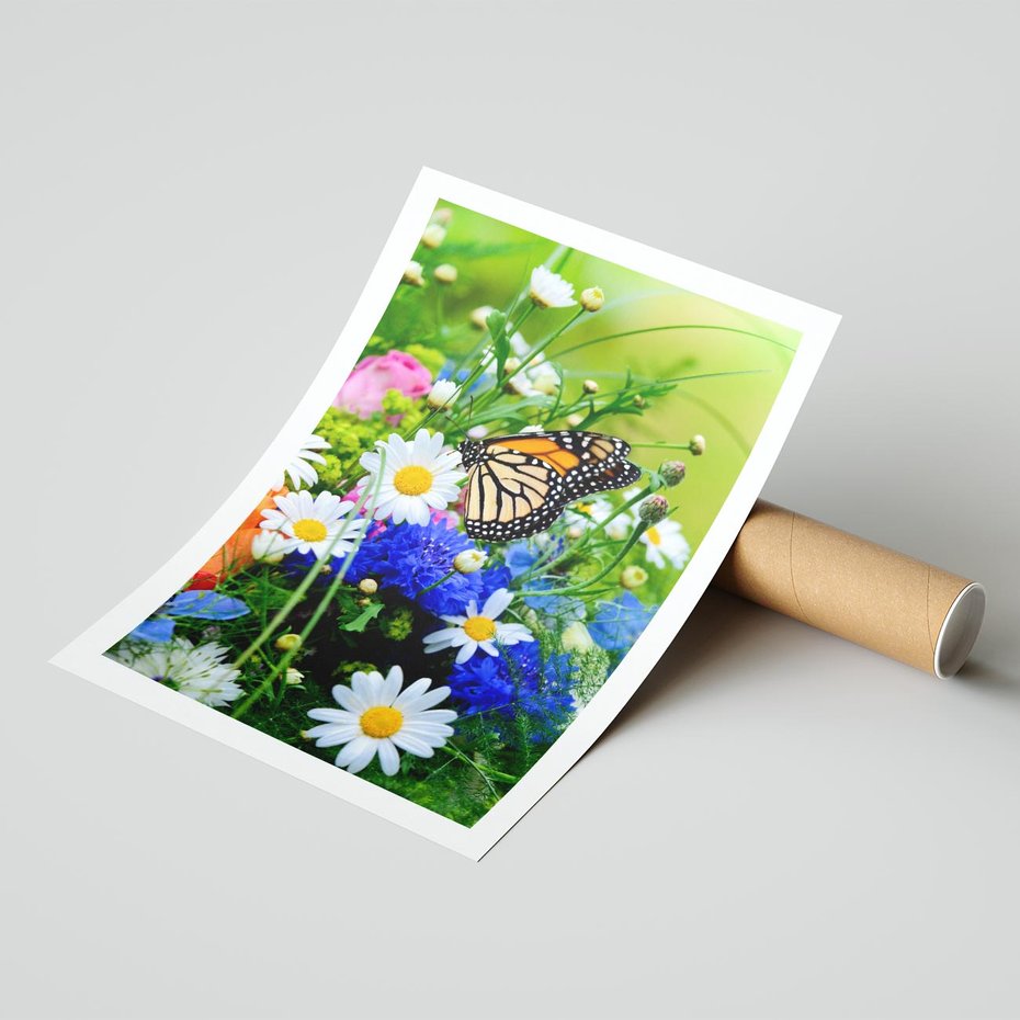 Plakat bez ramy 50x70 - Kwiatowy Taniec - motyl, kwiaty