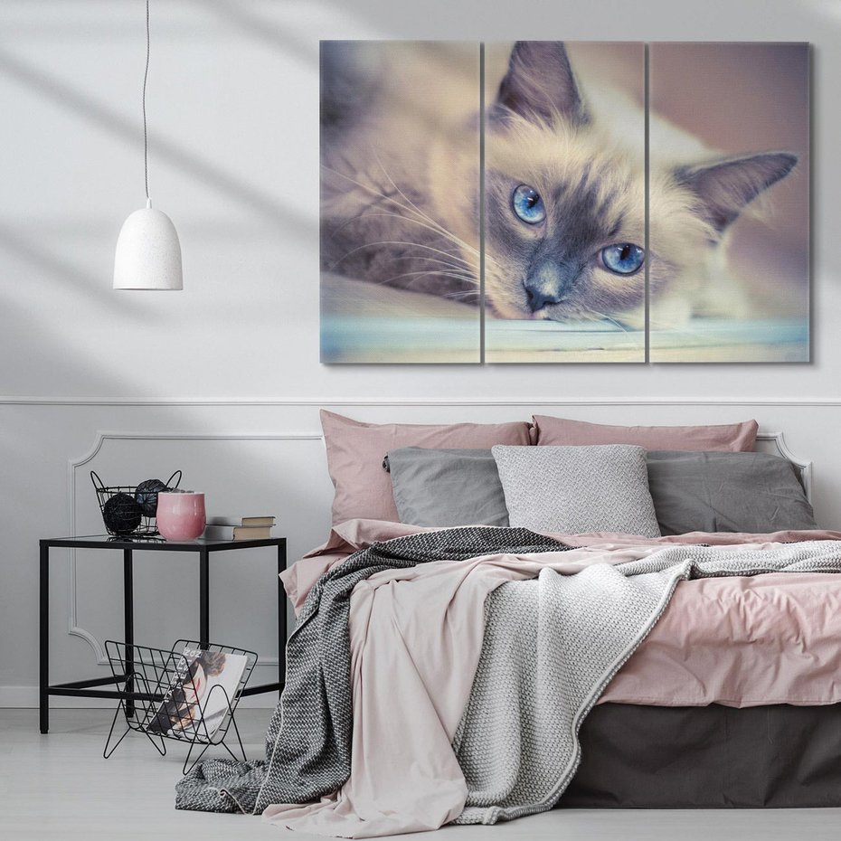 Obraz na płótnie 120x80 - Kotek w artystycznym stylu - kot, kotek