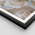 Plakat w ramie 30x40 - Białe róże piękności - białe, róże - rama czarna