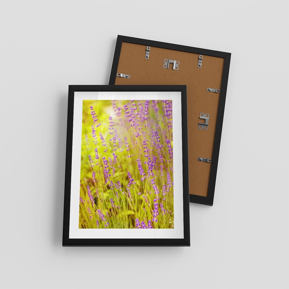 Plakat w ramie 30x40 - Delikatność natury - lawenda, kwiaty - rama czarna
