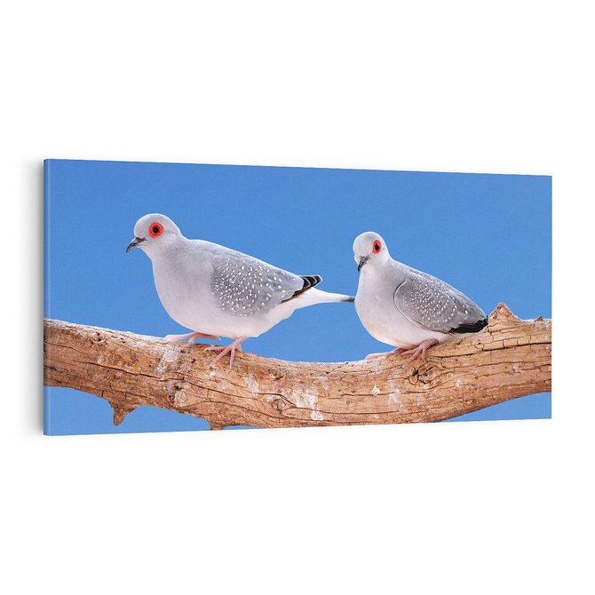 Obraz na płótnie 100x50 - Gołębie w locie - gołębie, gołąb