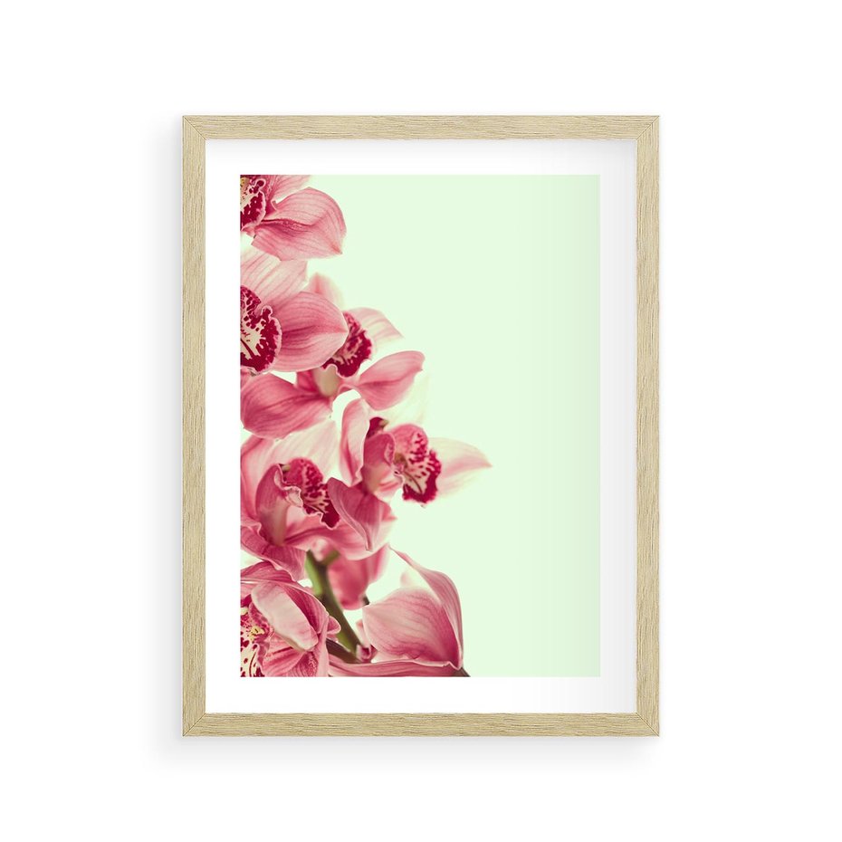 Plakat w ramie 30x40 - Orchidea - delikatne kwiaty - orchidea, kwiaty - rama drewno