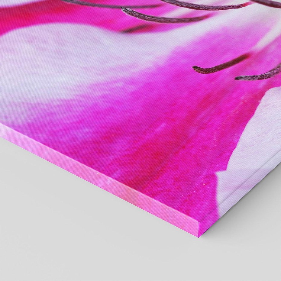 Obraz na płótnie 140x70 - delikatność natur - kwiat, kwiaty