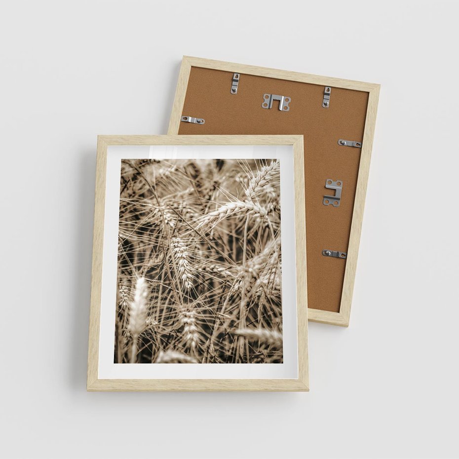 Plakat w ramie 40x50 - Zbliżenie na Kłosy Zboża - zboża, kłosy zboża - rama drewno