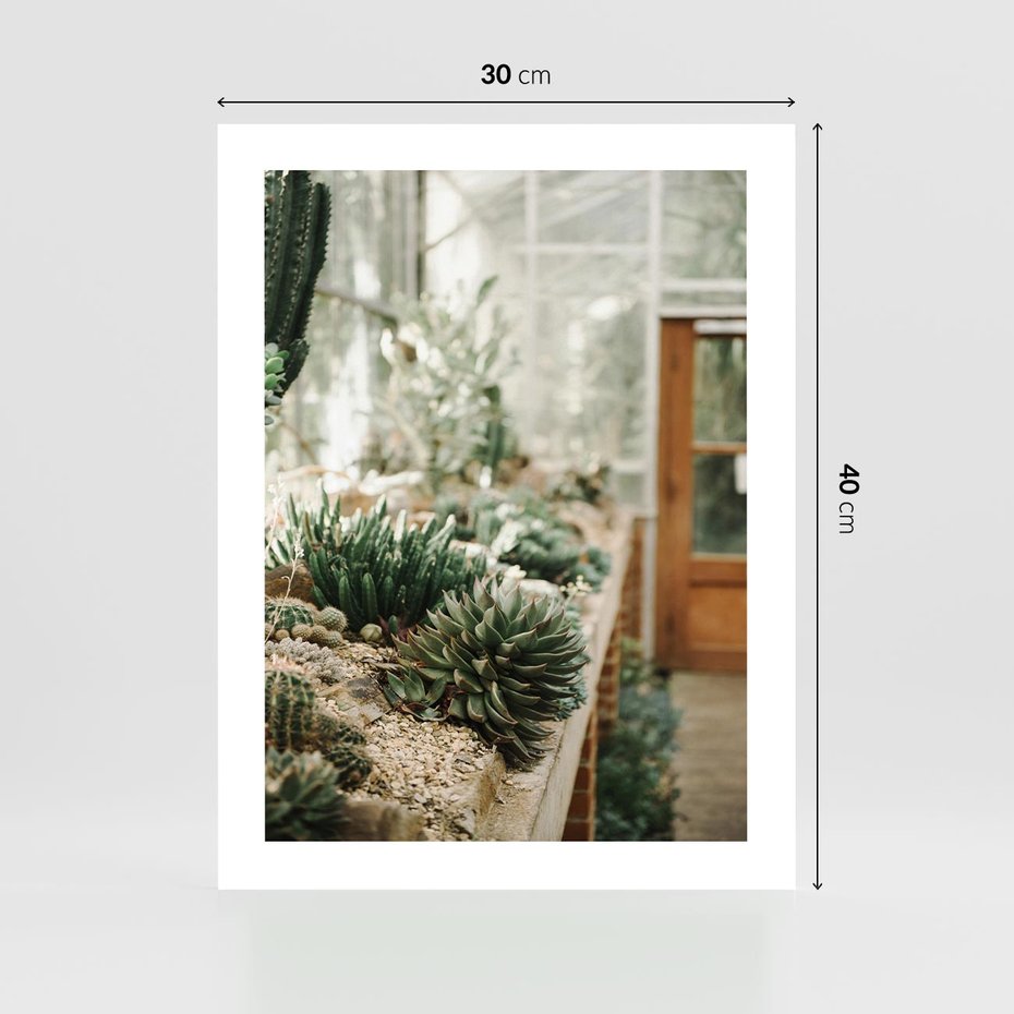 Plakat bez ramy 30x40 - Sukulenty w Szklarni - sukulenty, w szklarni