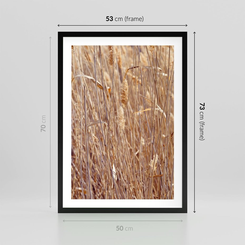 Plakat w ramie 50x70 - Mistrzowskie suche trawy - suche, trawy - rama czarna
