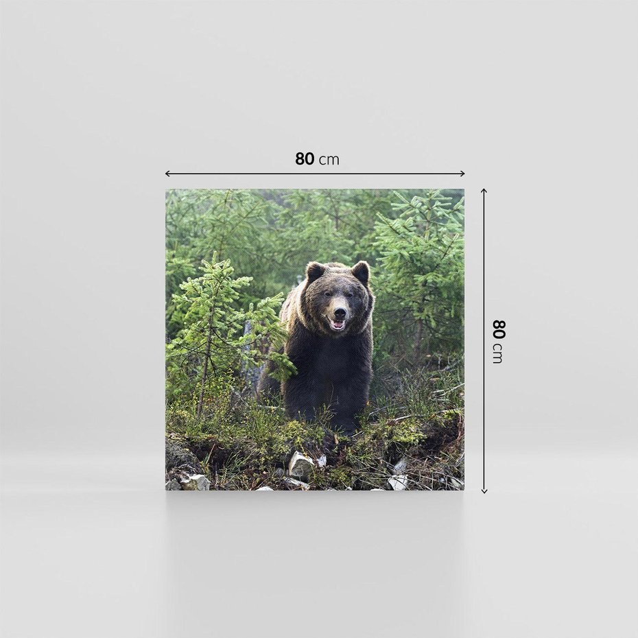 Obraz na płótnie 80x80 - Spotkanie z Niedźwiedziem w Lesie - niedźwiedź, las