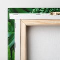 Obraz na płótnie 60x60 - Monstera Liście Fantazja - monstera, liście